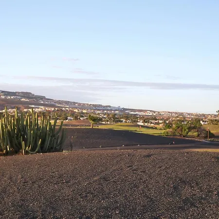 Blue Sky Golf Willa *